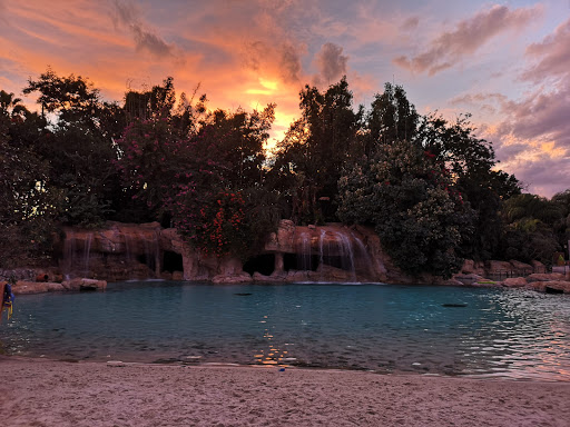 Water Park «Discovery Cove», reviews and photos, 6000 Discovery Cove Way, Orlando, FL 32821, USA
