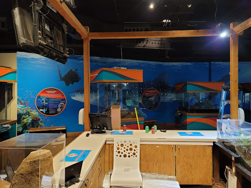 Print Shop «AlphaGraphics San Francisco Downtown», reviews and photos, 840 Sansome St, San Francisco, CA 94111, USA