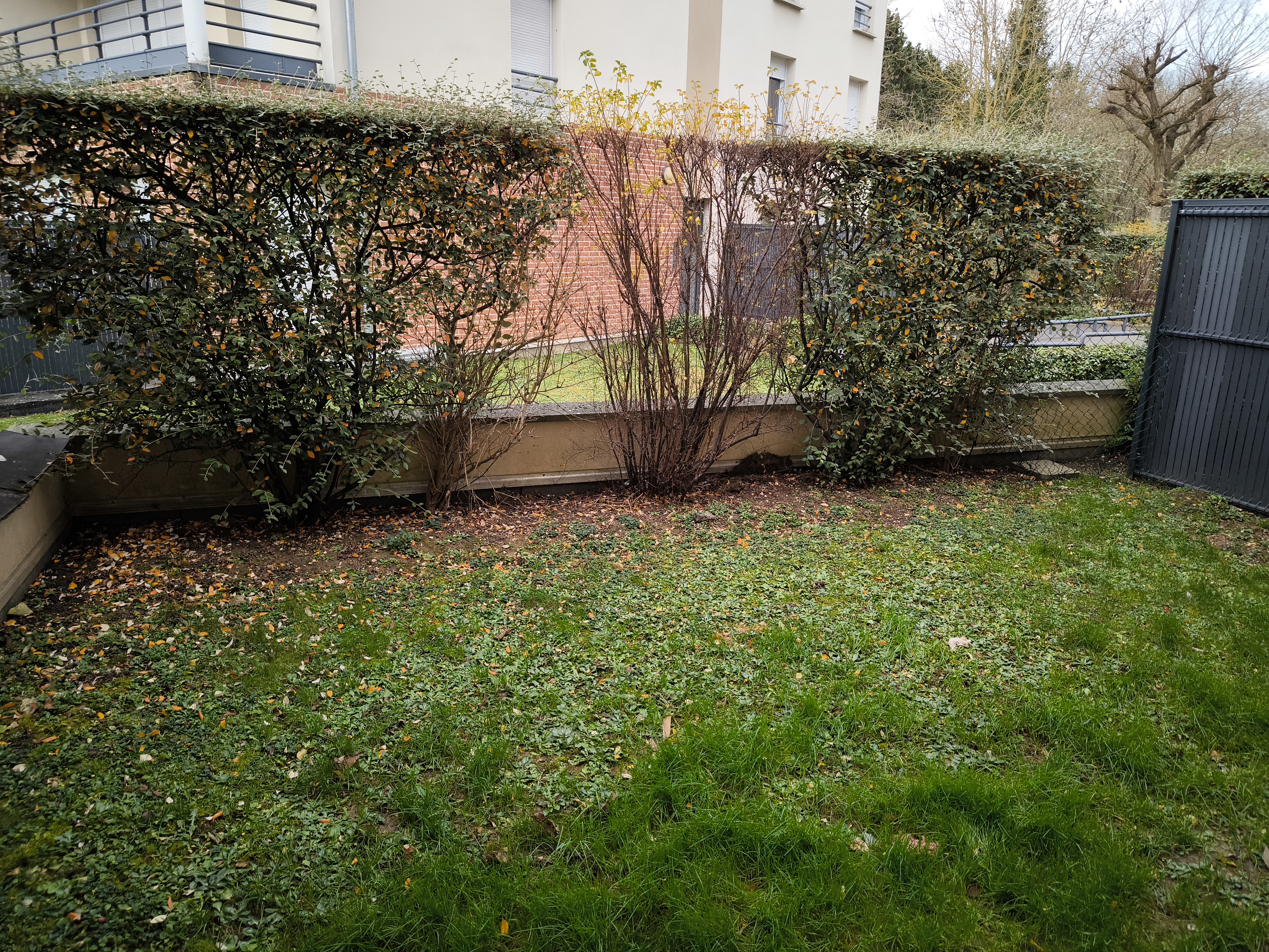 Photo n° 1 de l'avis de rodolphe.e fait le 19/01/2024 à 19:30