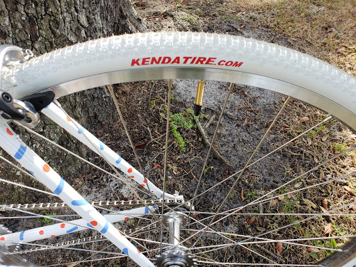 Bicycle Store «Just Ride Bicycles», reviews and photos, 13412 Boyette Rd, Riverview, FL 33569, USA