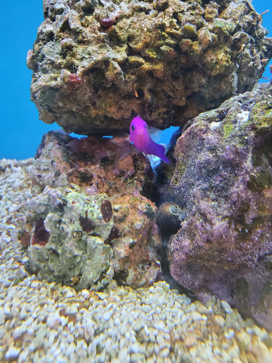 Pet Supply Store «Petco Animal Supplies», reviews and photos, 200 Center Blvd S, Christiana, DE 19702, USA