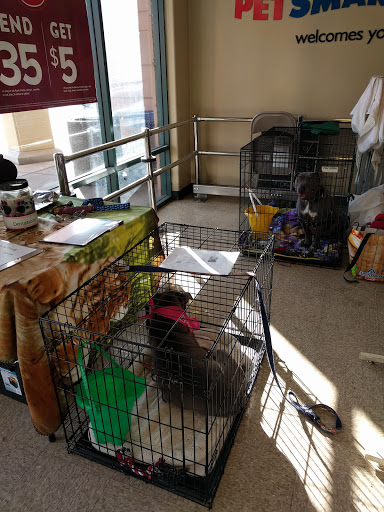 PetSmart image