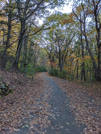 Park «East Rock Park», reviews and photos, 41 Cold Spring St, New Haven, CT 06511, USA