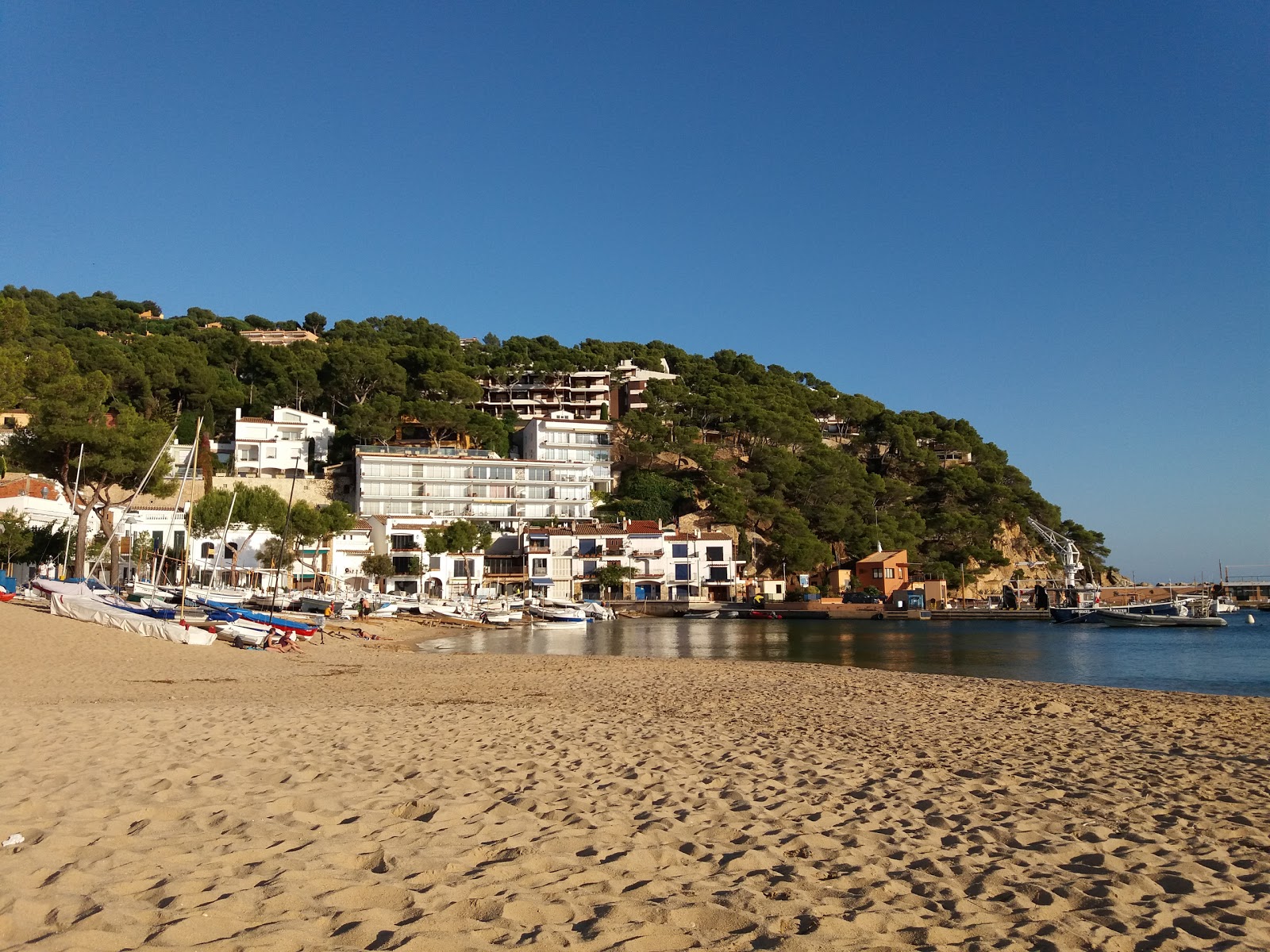 Fotografie cu Platja de Llafranc zonă sălbatică
