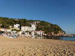 Foto di Platja de Llafranc zona selvaggia