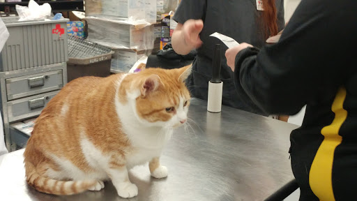 Pet Supply Store «Petco Animal Supplies», reviews and photos, 2575 Fairview Ave N, Roseville, MN 55113, USA