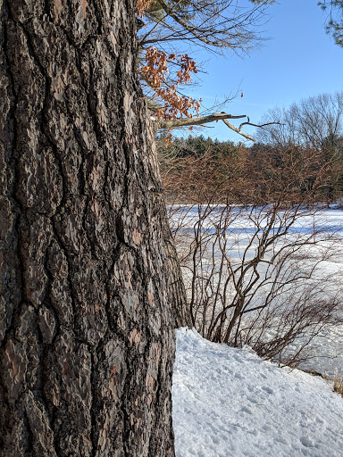 Park «Russell Mill Pond and Town Forest», reviews and photos, 105 Mill Rd, Chelmsford, MA 01824, USA