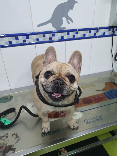 Clínica Veterinaria Amazonas en Marbella
