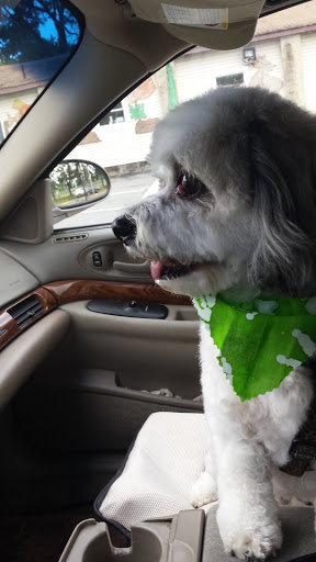 Pet Supply Store «Animal House», reviews and photos, 1509 S Black Horse Pike, Williamstown, NJ 08094, USA