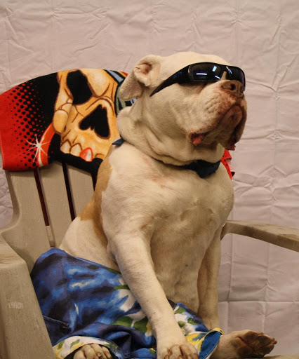 Bicycle Store «M & M Cyclery», reviews and photos, 734 Butterfield Rd, Mundelein, IL 60060, USA