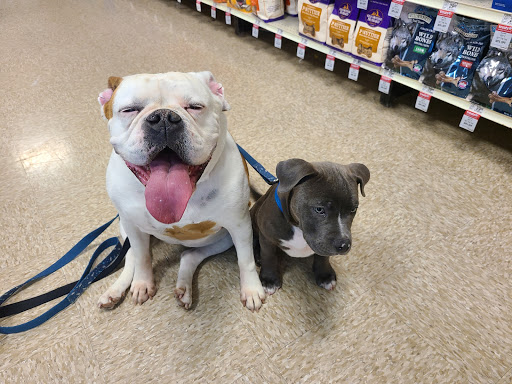 Pet Supply Store «PetSmart», reviews and photos, 3335 Cobb Pkwy NW #400, Acworth, GA 30101, USA
