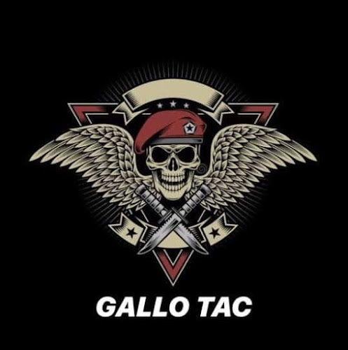 gallo tac import 2