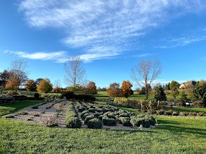 White Oak Lavender Farm & The Purple WOLF Vineyard - photo 51
