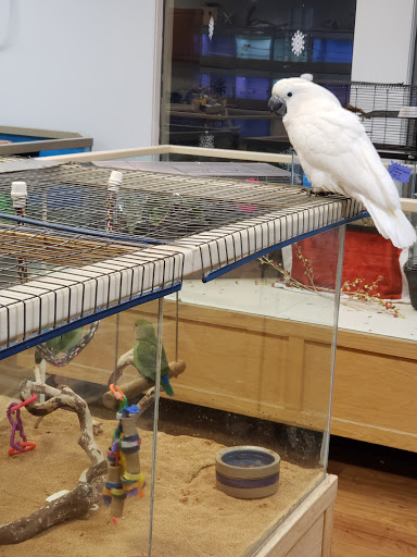 Pet Store «Claremont Pet & Aquarium Center», reviews and photos, 201 Washington St, Claremont, NH 03743, USA