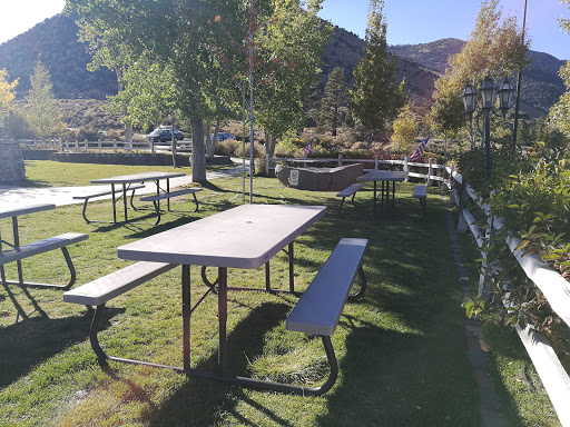 Convenience Store «Tioga Gas Mart», reviews and photos