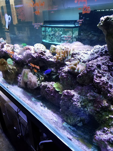 Aquarium «Aquaclear Aquariums», reviews and photos, 7801 N Robinson Ave, Oklahoma City, OK 73116, USA