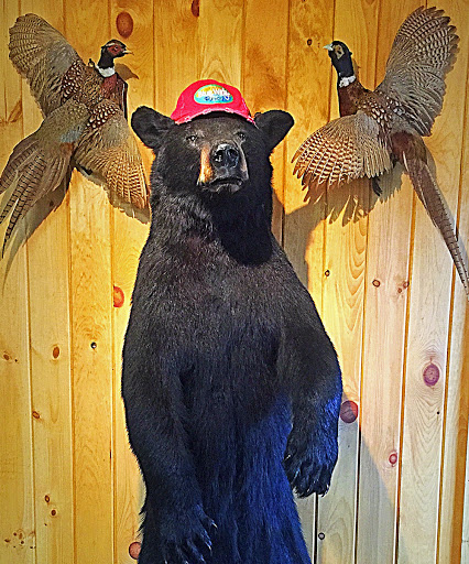 RV Park «Bluewater Resort and RV Campground», reviews and photos, 220 Bluewater Campground Rd, Dayton, TN 37321, USA