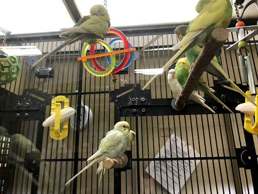 Pet Supply Store «PetSmart», reviews and photos, 1203 N Landing Way, Renton, WA 98057, USA