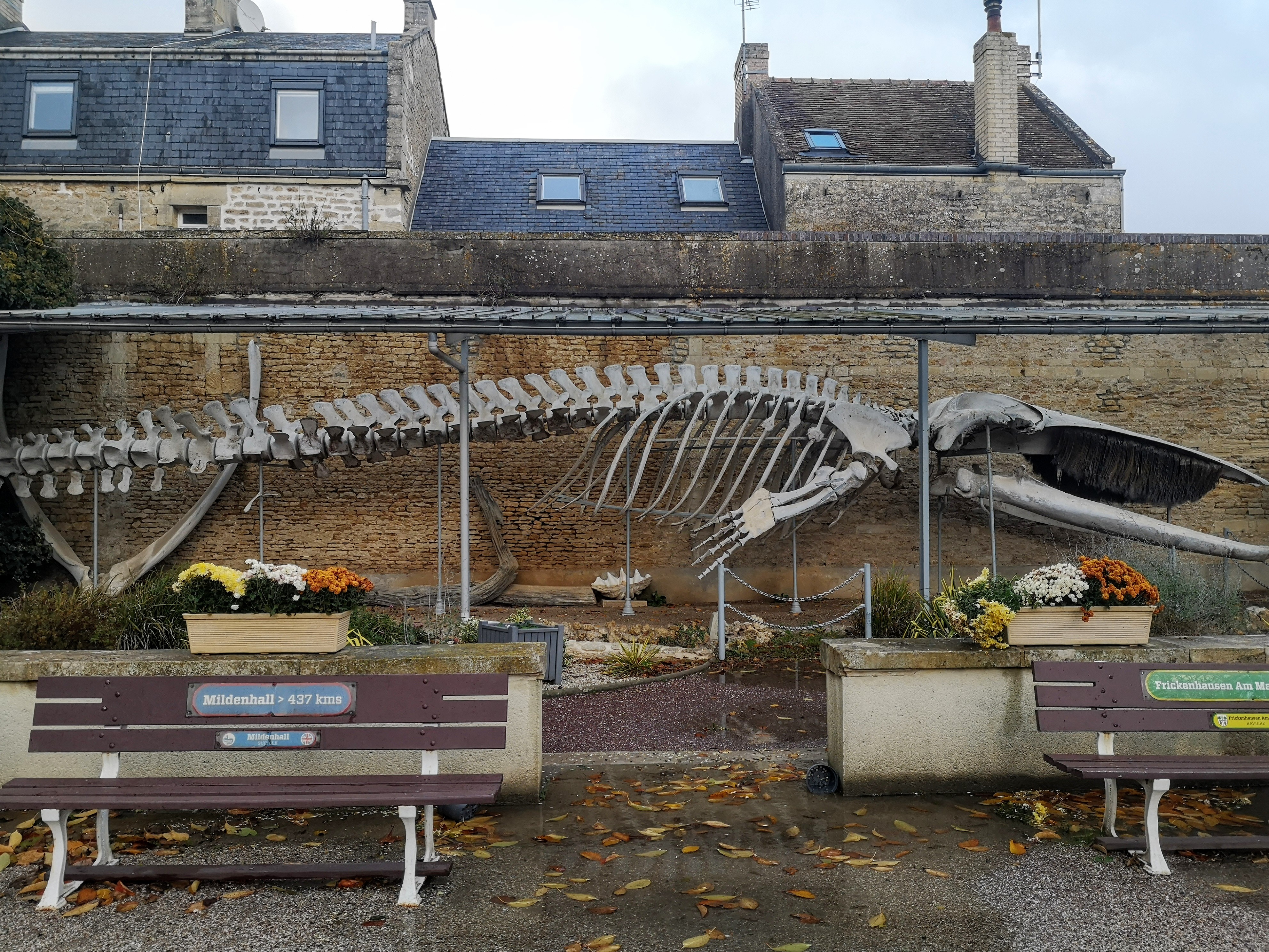Photo n° 1 de l'avis de Maryline.E fait le 28/11/2021 à 16:25