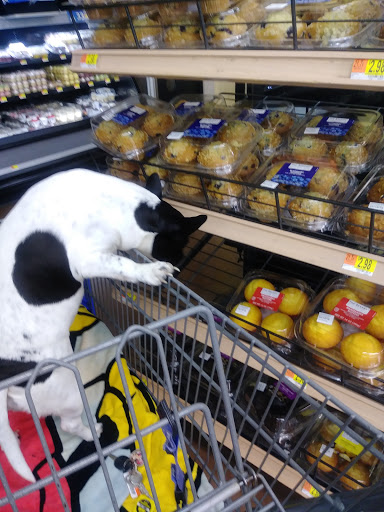 Grocery Store «Kroger», reviews and photos, 2210 S Fielder Rd, Arlington, TX 76013, USA