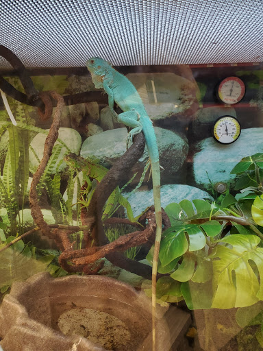 Pet Supply Store «Petco Animal Supplies», reviews and photos, 18200 NW Evergreen Pkwy, Beaverton, OR 97006, USA