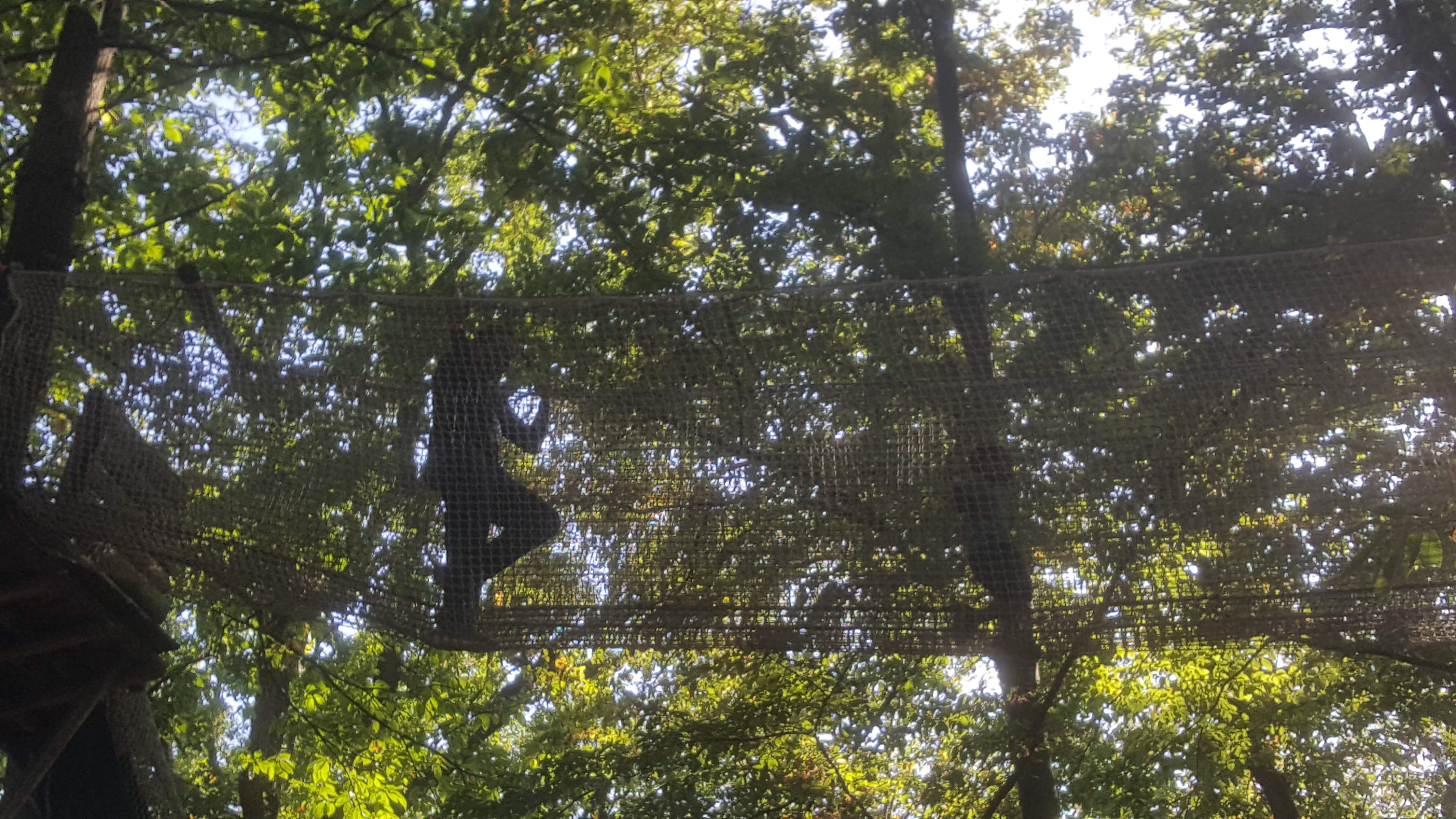 Photo n° 1 de l'avis de Thomas.e fait le 29/09/2019 à 19:39