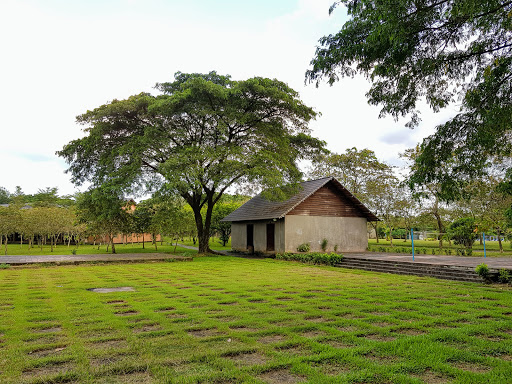 Tre Xanh Hotel - Giang Dien Park