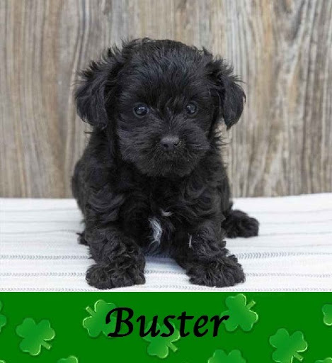 Pet Store «Pet Express», reviews and photos, 100 Independence Way, Danvers, MA 01923, USA