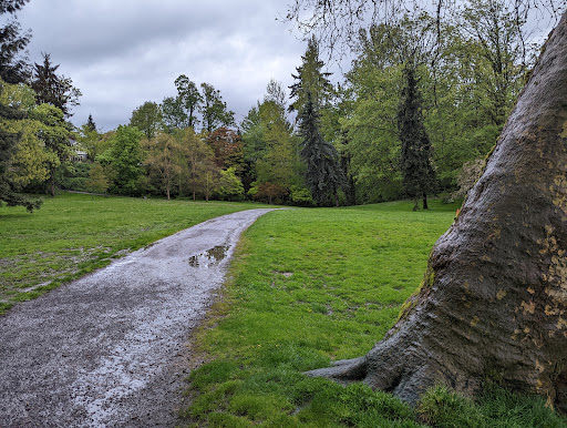 Park «Cowen Park», reviews and photos, 5849 15th Ave NE, Seattle, WA 98105, USA
