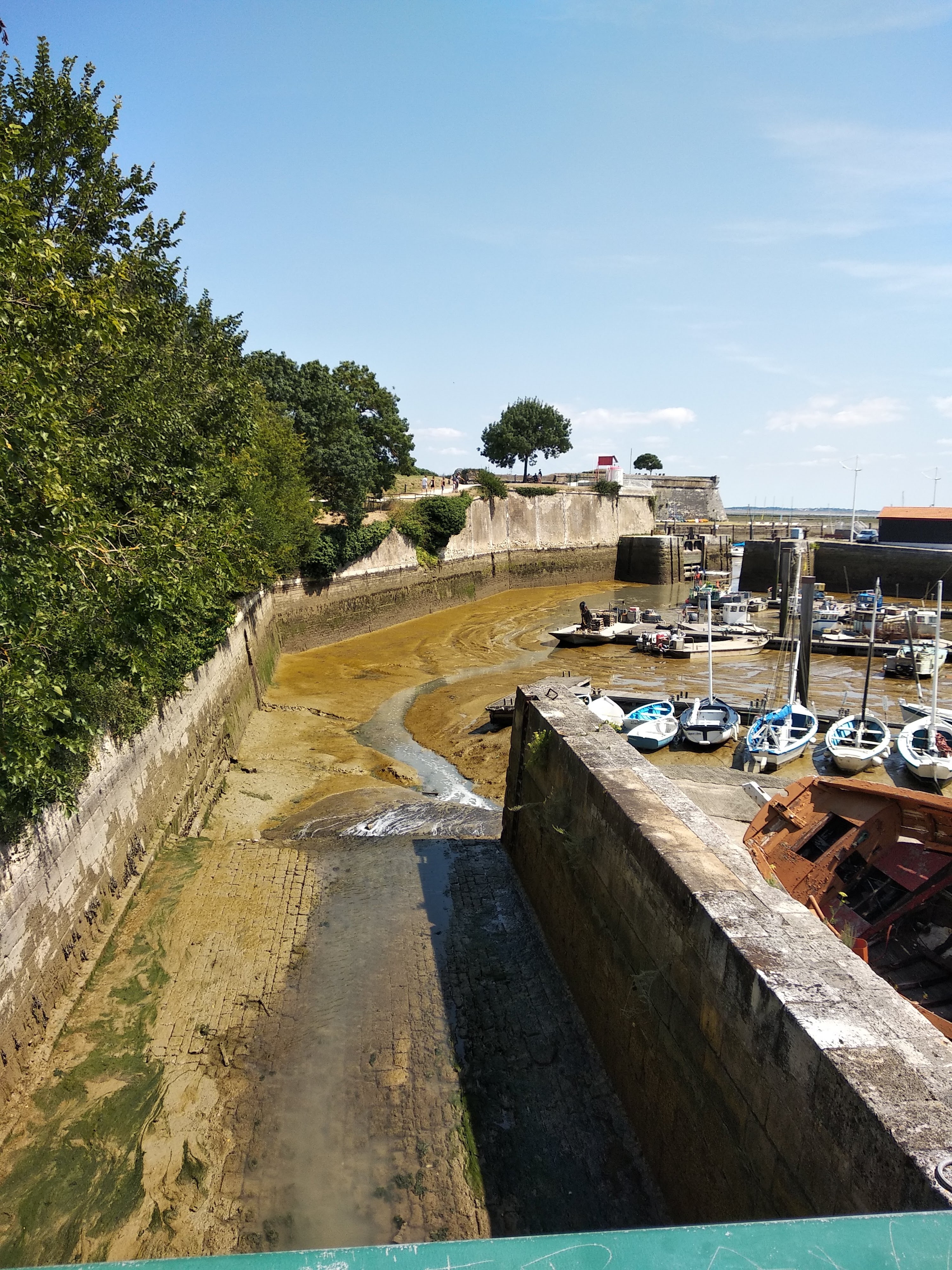 Photo n° 4 de l'avis de sylvie.a fait le 19/08/2018 à 09:04