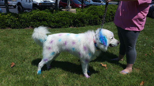 Pet Supply Store «PetSmart», reviews and photos, 7225 Bell Creek Rd Ste 228, Mechanicsville, VA 23111, USA