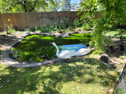 Tourist Attraction «Tracy Aviary», reviews and photos, 589 1300 S, Salt Lake City, UT 84105, USA