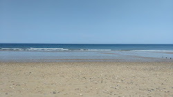 Seaham Plajı'in fotoğrafı vahşi alan