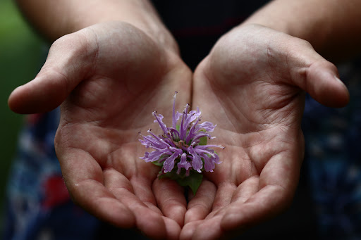 Nature Preserve «Hoover Forest Preserve», reviews and photos, 11285 W Fox Rd, Yorkville, IL 60560, USA