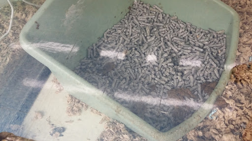 Pet Supply Store «Pet Supplies Plus», reviews and photos, 1150 N Court St #2A, Medina, OH 44256, USA