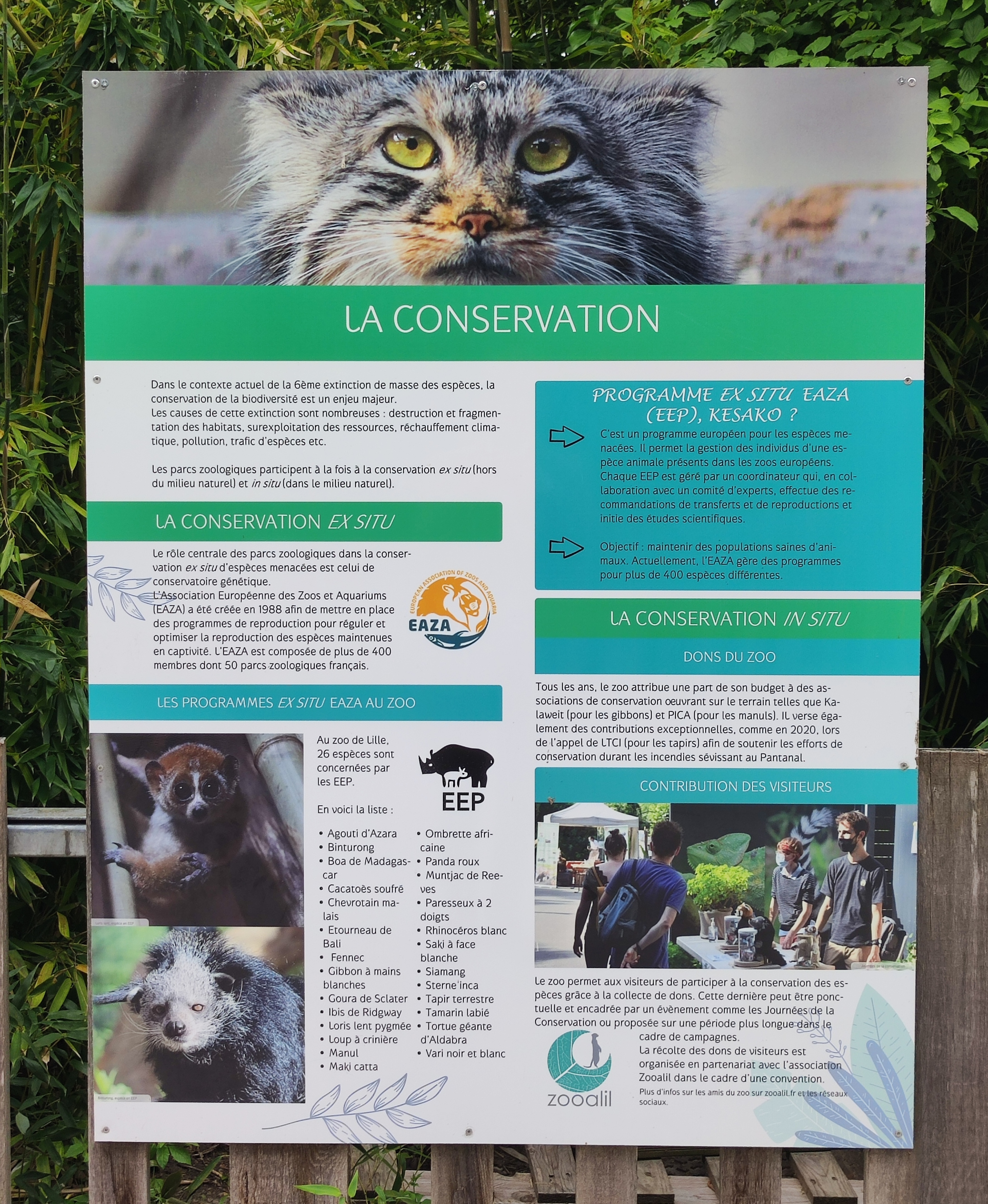 Photo n° 7 de l'avis de Romin. fait le 24/05/2023 à 12:29