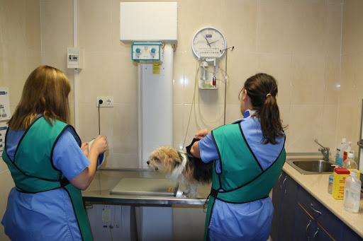 Clínica Veterinaria Palomera en León