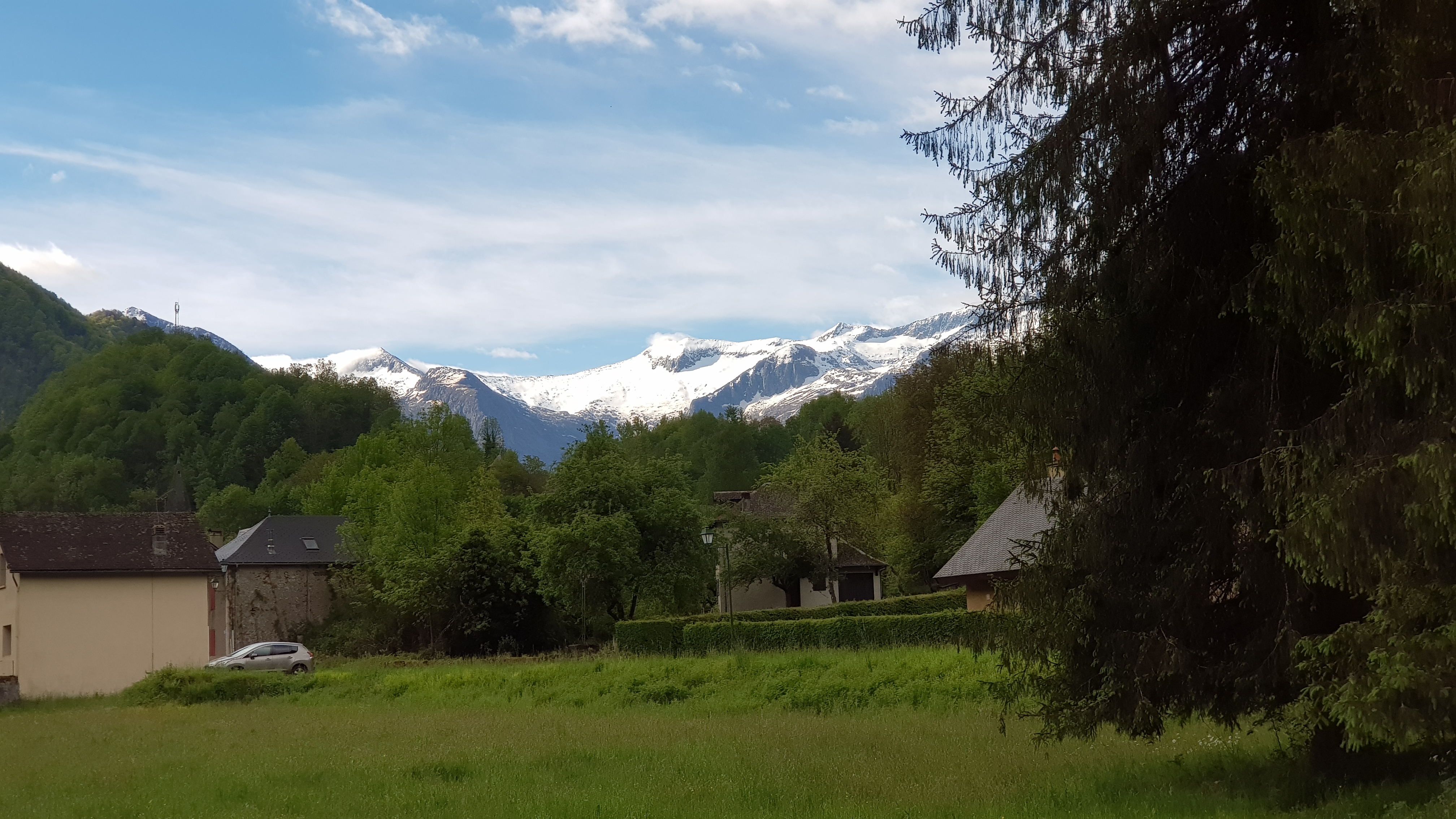 Photo n° 1 de l'avis de ThyReg. fait le 12/06/2021 à 08:27