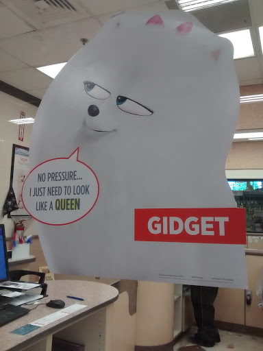 Pet Supply Store «PetSmart», reviews and photos, 16760 Highlands Center Blvd, Bristol, VA 24202, USA