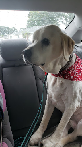 Pet Supply Store «Pet Supplies Plus», reviews and photos, 5394 Kemps River Dr Suite 101, Virginia Beach, VA 23464, USA