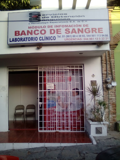 Banco De Sangre S. O. S. (Sucursal)