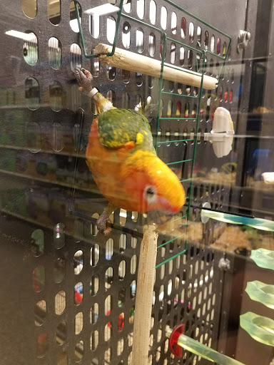 Pet Supply Store «PetSmart», reviews and photos, 401 S Mt Juliet Rd #645, Mt Juliet, TN 37122, USA