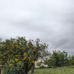 Photo n°3 de l'avis de Valentine.O fait le 17/05/2024 à 19:02 sur le  Land Of Dreams à Fiumefreddo di Sicilia