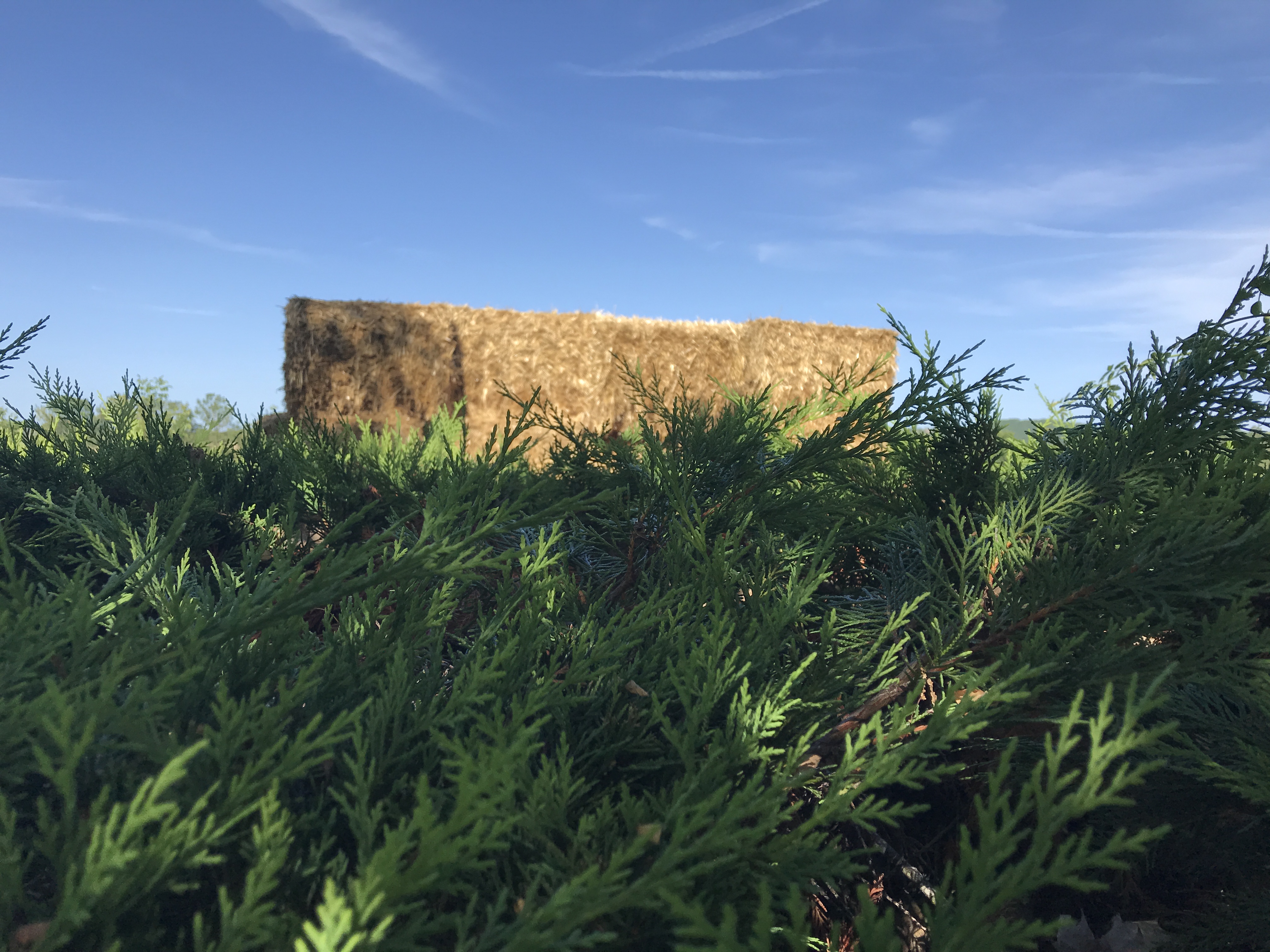Photo n° 1 de l'avis de Andreas. fait le 03/08/2019 à 17:25