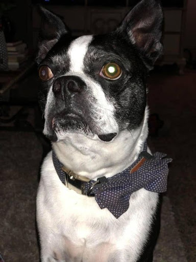 Insurance Agency «Michael Weaver - State Farm Insurance Agent», reviews and photos