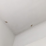 Photo n°1 de l'avis de S.p fait le 14/09/2023 à 18:53 sur le  Hotel Boomerang Roma à Rome