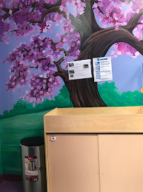 Early Steps Bilingual Preschool - Photo 9 - Car repair in Washington, DC, Washington