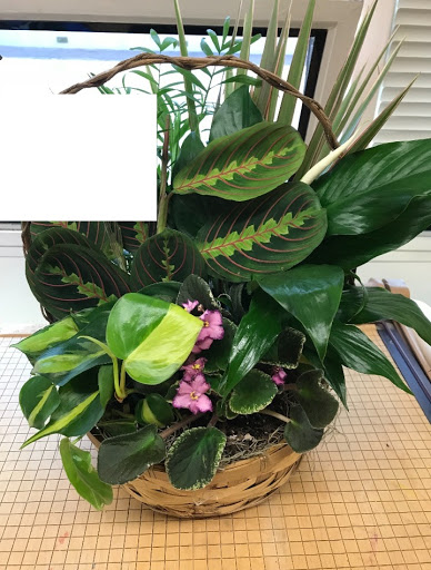 Florist «Colorado Springs Florist», reviews and photos, 125 E Boulder St, Colorado Springs, CO 80903, USA