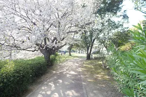 Yokohama Park image