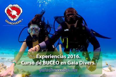 Gaia Divers - Buceo